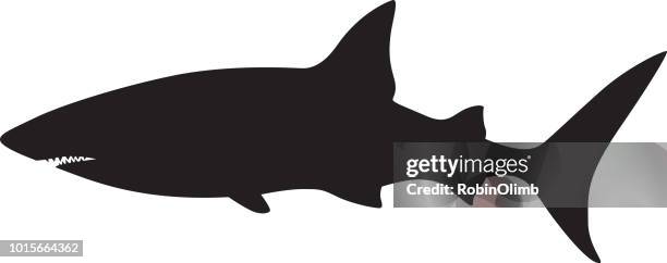 shark silhouette - tiger shark stock illustrations
