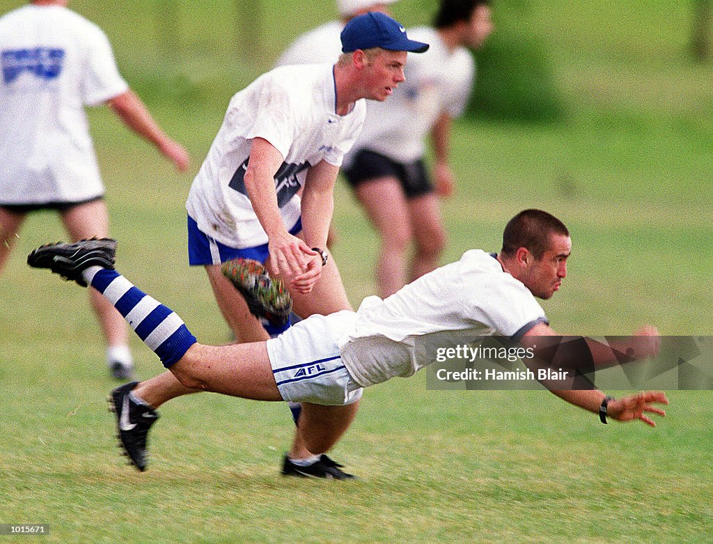 Kangaroos Training