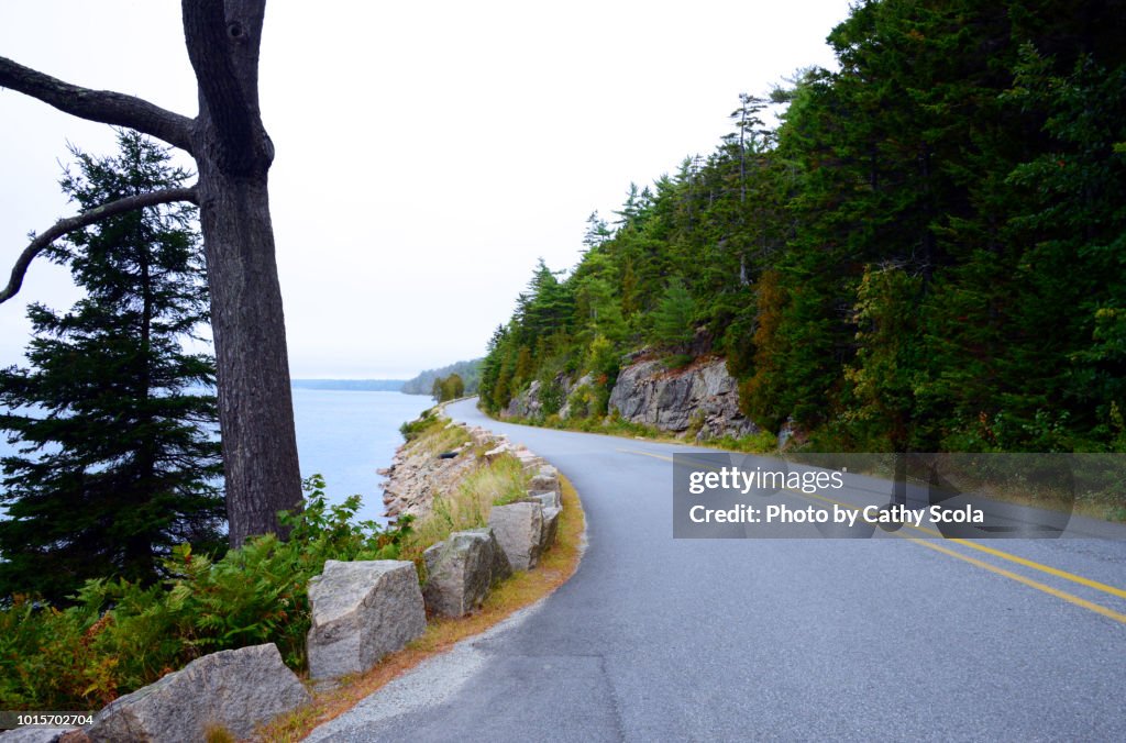 Curved road on Maine coast