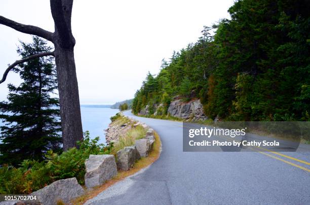 curved road on maine coast - maine road stock pictures, royalty-free photos & images
