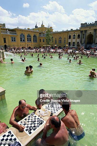 chess players in pool of szenchenyi, hungary - hungary hotel stock pictures, royalty-free photos & images