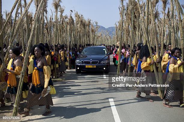 Young girls carry reeds at a traditional Reed dance ceremony at the Royal Palace on August 30 in Ludzidzini, Swaziland. About 80.000 virgins from all...