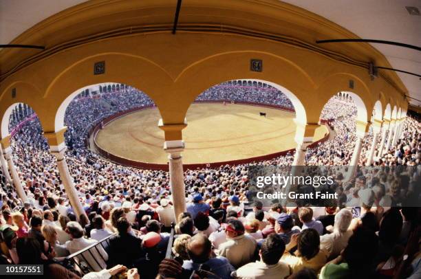 spain, seville bullfight, plaza maestanza - bullfighter stock-fotos und bilder