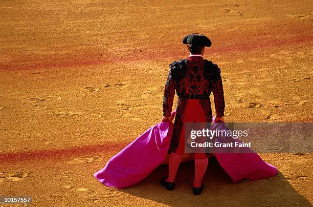 spain, seville bullfight, plaza maestanza - tjurfäktning bildbanksfoton och bilder