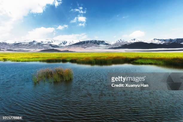 snow mountain everglades natural landscape - everglades summit stock pictures, royalty-free photos & images
