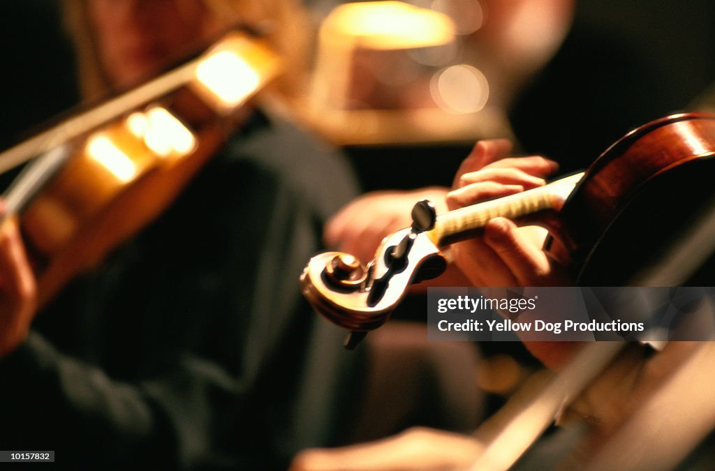 ORCHESTRA