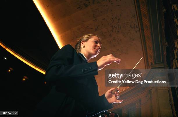 orchestra - dirigent stockfoto's en -beelden