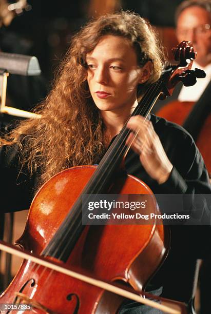 orchestra - symphony orchestra stockfoto's en -beelden