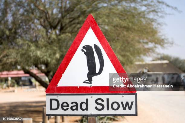 namibian road sign - animal crossing game stock pictures, royalty-free photos & images