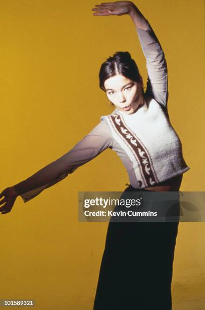 Icelandic singer-songwriter Bjork, November 1993.