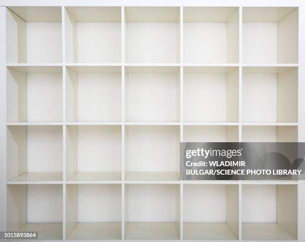 empty bookshelf - bücherregal leer stock-fotos und bilder