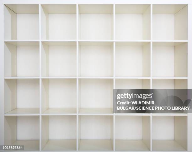 empty bookshelf - unbeschrieben stock-fotos und bilder