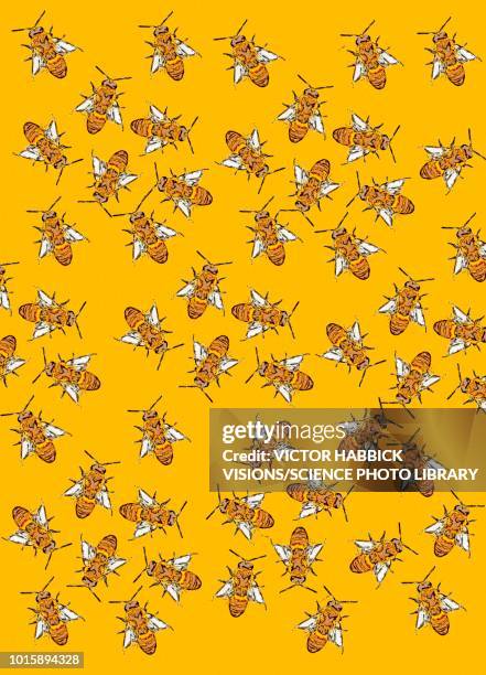 honey bees, illustration - colony group of animals stock illustrations