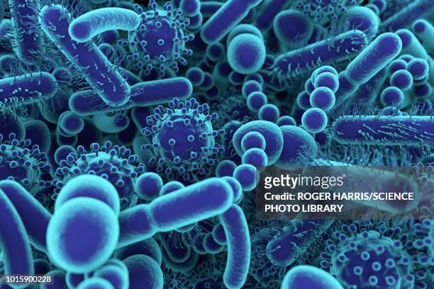 human microbiome, conceptual illustration - bacterium stock illustrations