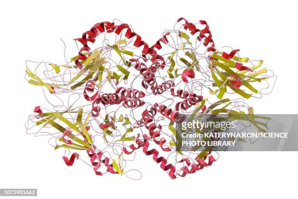 human beta-glucuronidase molecule, illustration - turkish stock illustrations