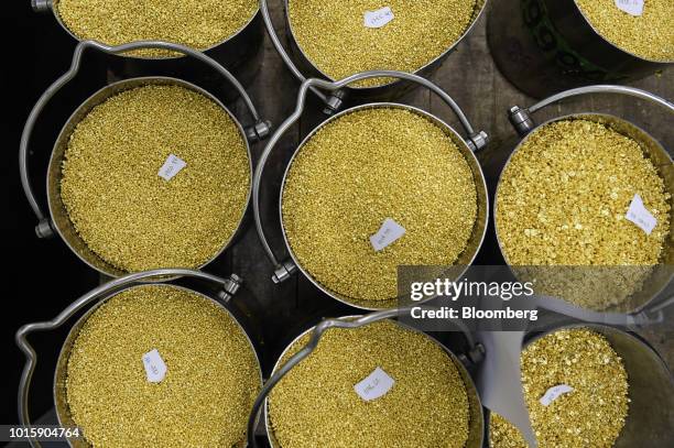 Gold granules sit in buckets at the Perth Mint Refinery, operated by Gold Corp., in Perth, Australia, on Thursday, Aug. 9, 2018. Demand for coins and...