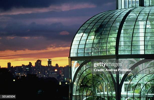 botanical garden, curitiba, brazil - curitiba stock pictures, royalty-free photos & images