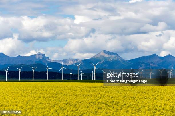 wind turbine renewable energy - alberta farm scene stock pictures, royalty-free photos & images