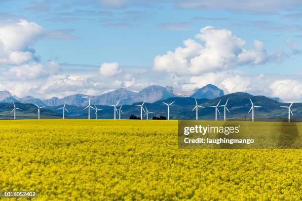 風力タービン再生可能エネルギー - canola ストックフォトと画像