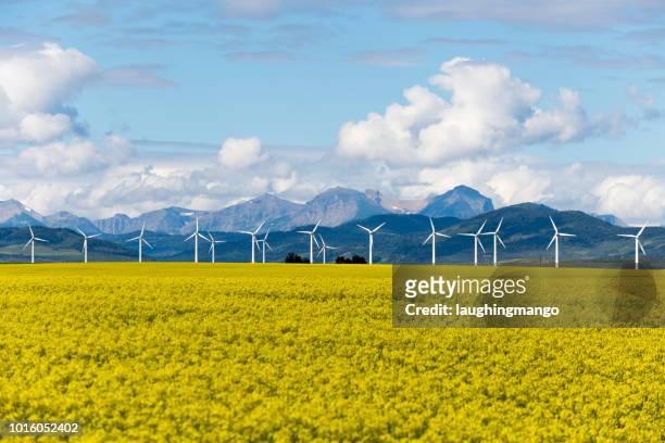 wind turbine hernieuwbare energie - alberta farm scene stockfoto's en -beelden