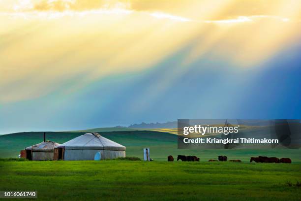 beautiful sunset in mongolia. - yurt stock pictures, royalty-free photos & images