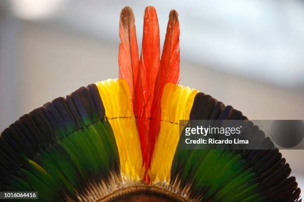headdress of an indigenous of kayapo ethnic group, para state, brazil - indian entertainment art and culture fotografías e imágenes de stock