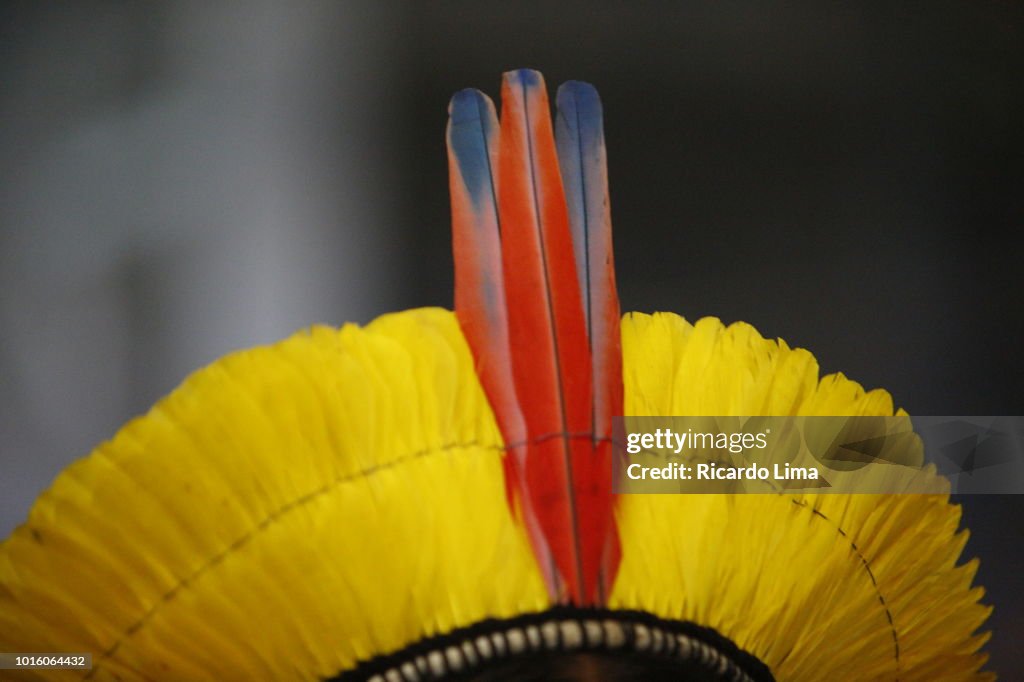 Headdress Of An Indigenous Of Kayapo Ethnic Group, Para State, Brazil