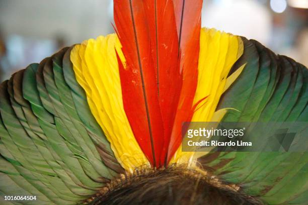 headdress of an indigenous of kayapo ethnic group, para state, brazil - kayapo stock pictures, royalty-free photos & images