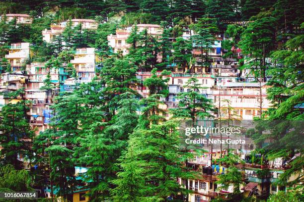 dharamsala city - uphill perspective - dharamsala stock pictures, royalty-free photos & images