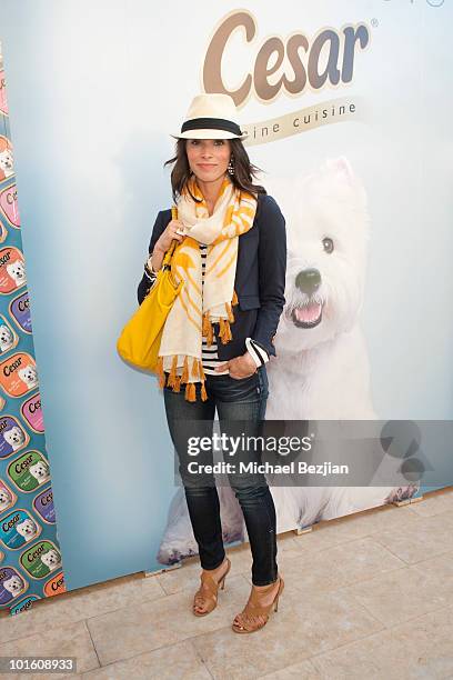 Actress Abigail Spencer attends Cesar Canine Cuisine at Kari Feinstein MTV Movie Awards Style Lounge-Day 1 at Montage Beverly Hills on June 3, 2010...