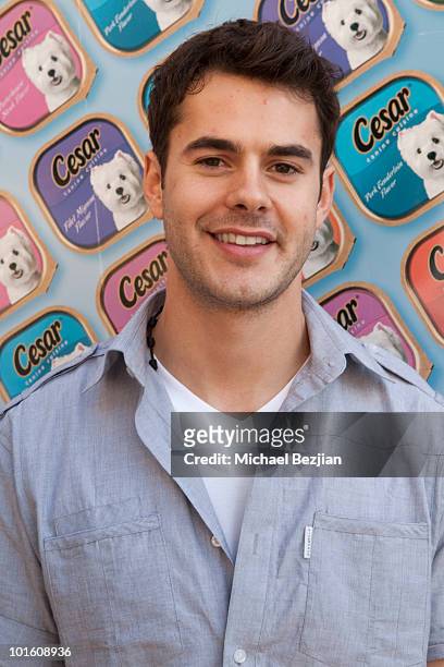 Actor Jason Blair attends Cesar Canine Cuisine at Kari Feinstein MTV Movie Awards Style Lounge-Day 1 at Montage Beverly Hills on June 3, 2010 in...