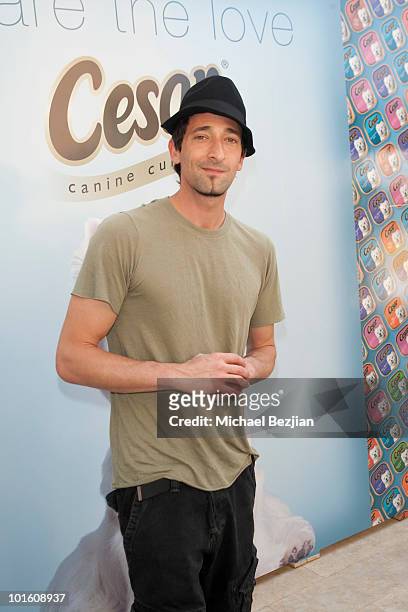 Actor Adrien Brody attends Cesar Canine Cuisine at Kari Feinstein MTV Movie Awards Style Lounge-Day 1 at Montage Beverly Hills on June 3, 2010 in...
