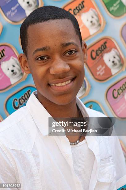 Actor Tyler James Williams attends Cesar Canine Cuisine at Kari Feinstein MTV Movie Awards Style Lounge-Day 1 at Montage Beverly Hills on June 3,...