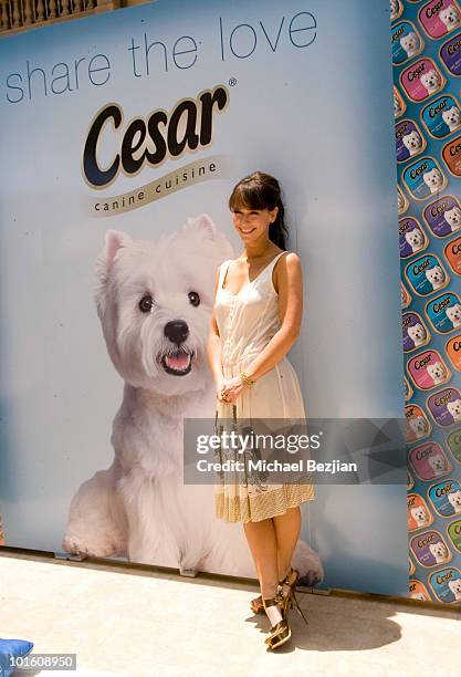 Actress Jennifer Love Hewitt attends Cesar Canine Cuisine at Kari Feinstein MTV Movie Awards Style Lounge-Day 1 at Montage Beverly Hills on June 3,...