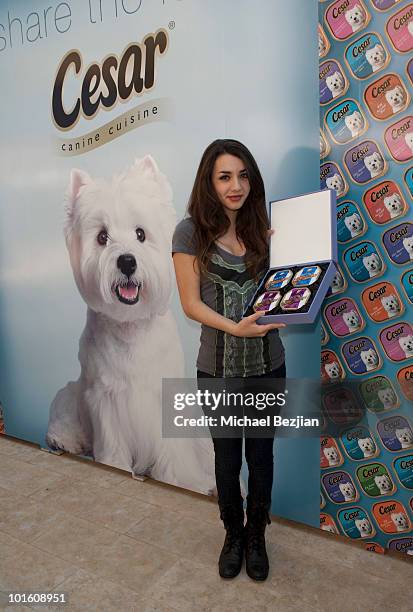 Actress Hannah Marks attends Cesar Canine Cuisine at Kari Feinstein MTV Movie Awards Style Lounge-Day 1 at Montage Beverly Hills on June 3, 2010 in...