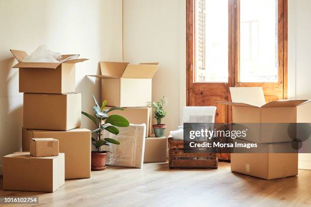 scatole mobili e piante in vaso nel nuovo appartamento - contenitore foto e immagini stock