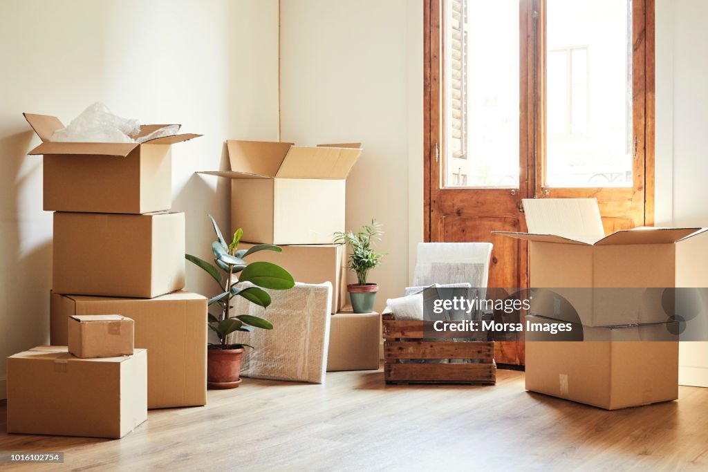 Moving boxes and potted plants at new apartment