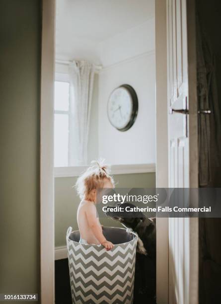 Cute Toddler playing in chevron tub with dog