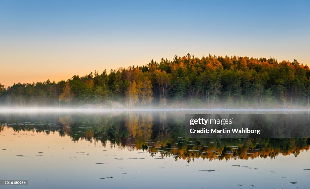 Morning lake met mist in de herfst kleuren