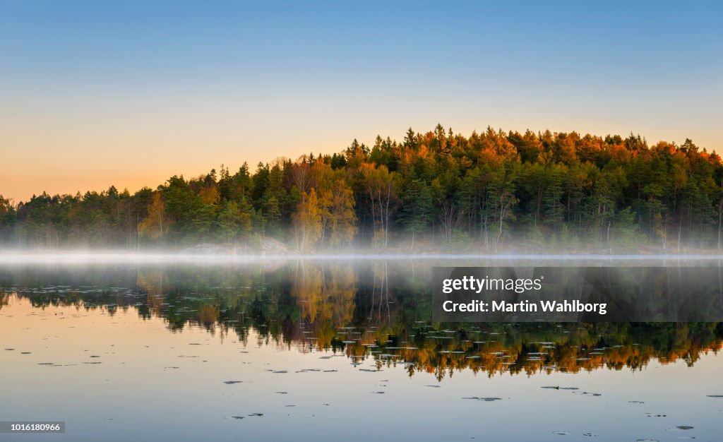 Morning lake with fog in autumn colors