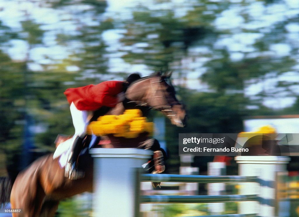 SHOW JUMPING