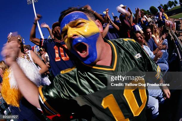 spectators in stands at a game - face paint stock pictures, royalty-free photos & images