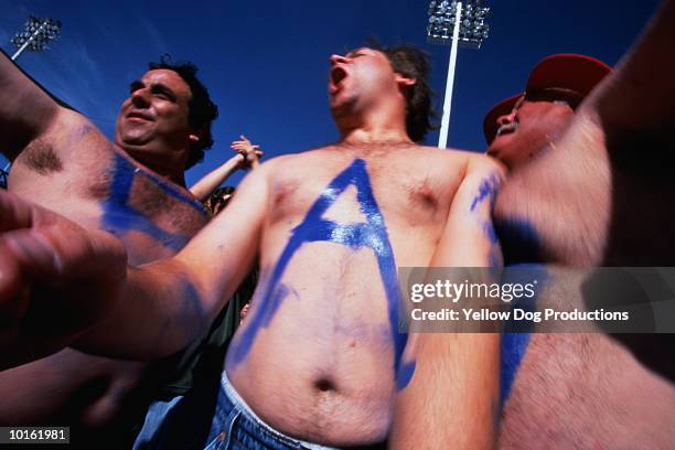 spectators in stands at a football game - hooligans stock pictures, royalty-free photos & images