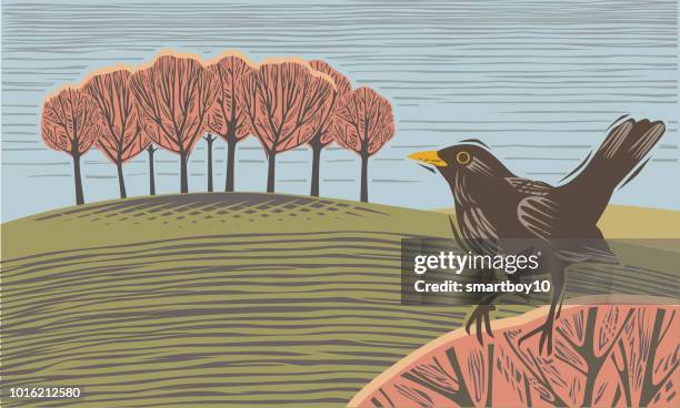 countryside scene with blackbird - wood block stock illustrations