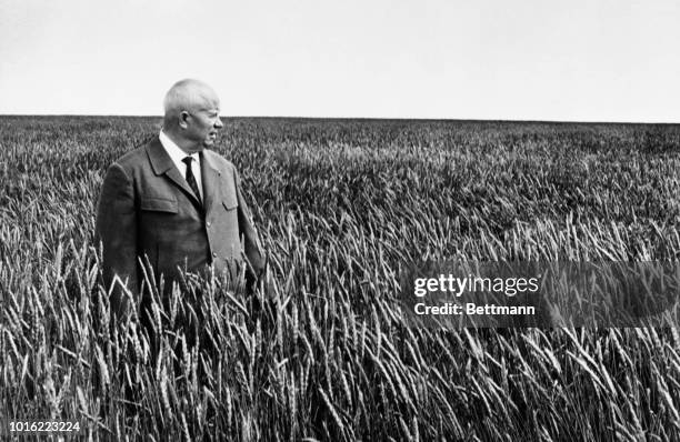 Nikita Khrushchev standing in a sea of wheat during a tour of farmlands in Kazakhstan.