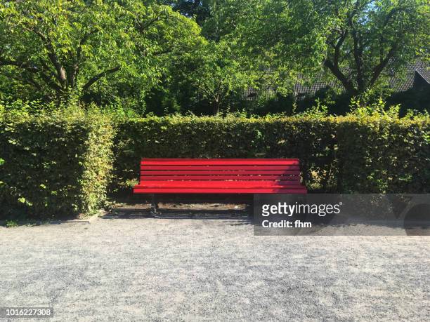 bench in a public park - bench park stock-fotos und bilder