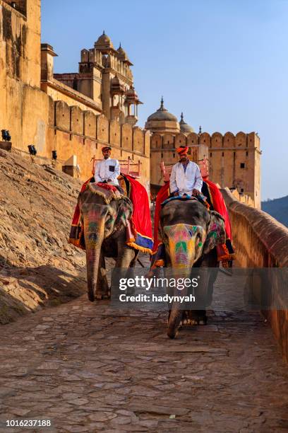 inder (mahout) reiten auf elefanten in der nähe von amber fort, jaipur, indien - amber fort stock-fotos und bilder