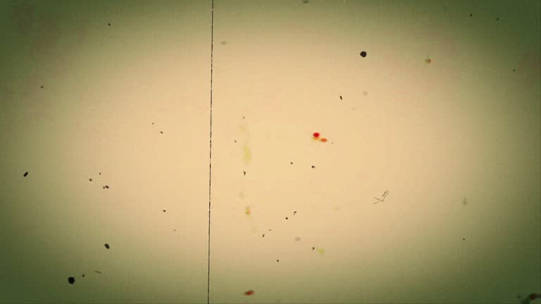 8 969 532点のフィルムのビデオクリップ 映像 Getty Images 8 969 532点のフィルムのビデオクリップ 映像 Getty Images