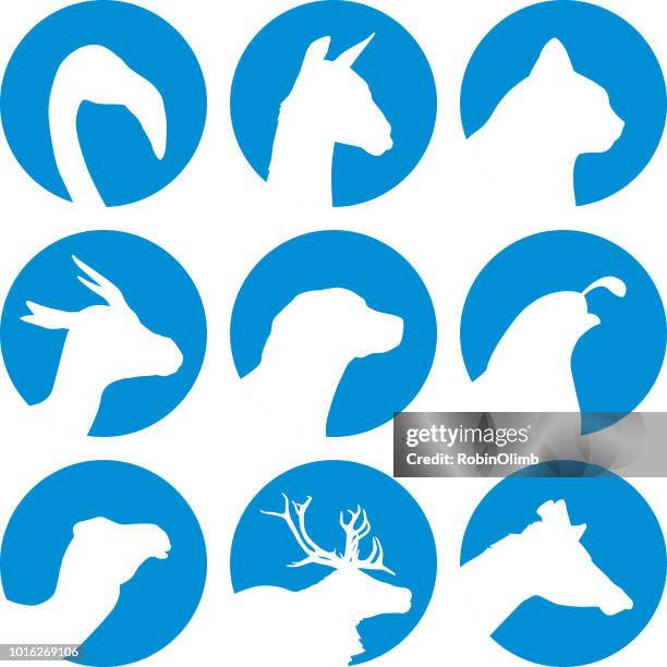 animal head icons - quail bird stock illustrations