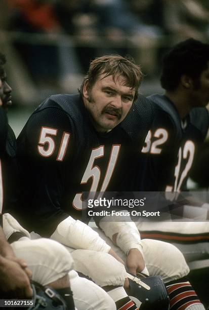 S: Linebacker Dick Butkus of the Chicago Bears in this portrait watching the action from the bench circa early 1970's during an NFL football game at...